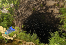 Ubicado en el corazón de la Huasteca Potosina, este abismo de 512 metros de profundidad ofrece uno de los espectáculos naturales más asombrosos del mundo con el vuelo sincronizado de miles de aves.