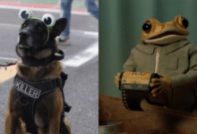 Perrito policía disfrazado de “Concho” se roba el show en concierto de Bad Bunny en CDMX