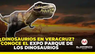 ¿Dinosaurios en Veracruz? Conoce el Expo Parque de los Dinosaurios