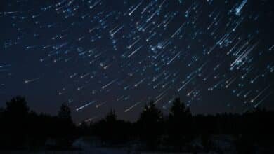 Lluvia de estrellas Las Gemínidas iluminará el cielo de Veracruz (Foto de internet)