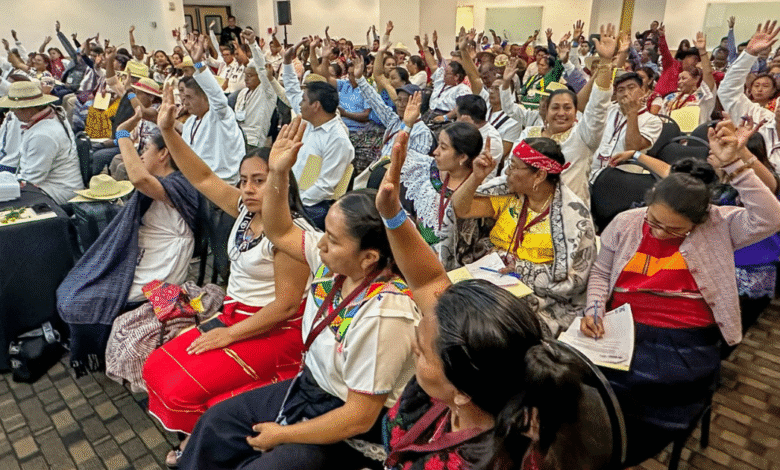 Consejo Nacional de Pueblos Indígenas propone que la Reforma Electoral garantice la representación política de los pueblos indígenas y afromexicanos