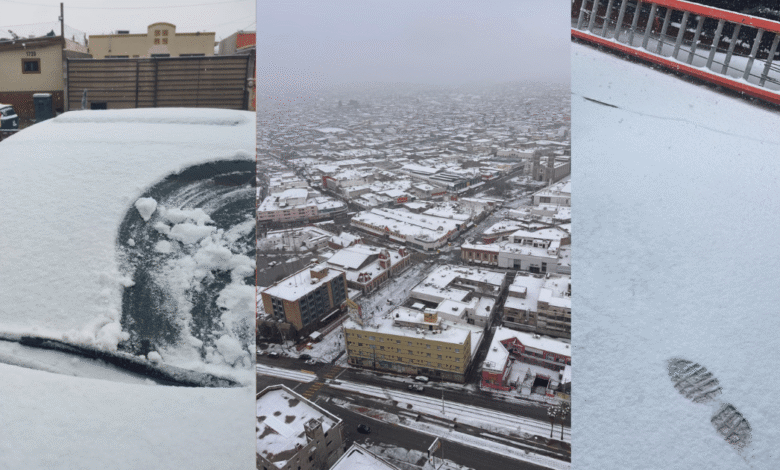 Heladas y cierres viales: Lista de estados sin clases este lunes por temperaturas bajo cero