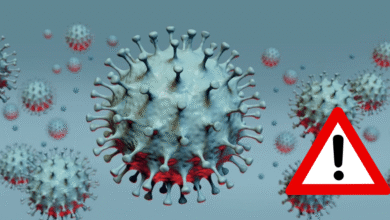 Virus Nipah: ¿Qué es, cuáles son los síntomas y dónde hay brotes?