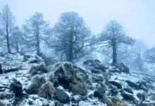 Refuerzan vigilancia en el Cofre de Perote en invierno