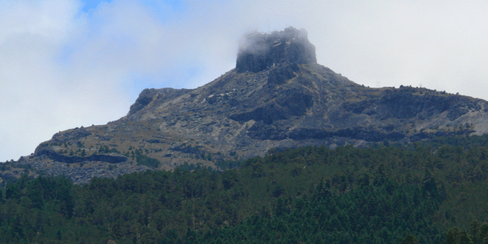 Temperaturas extremas en Veracruz hasta -6 grados en Perote