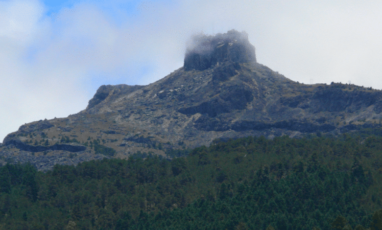 Temperaturas extremas en Veracruz hasta -6 grados en Perote