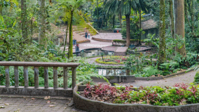 Vientos del norte en Xalapa provocan cierres de parques