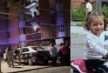 Madre y abuela asesinadas en Cuautitlán; fiscalía localiza con vida a la menor de 3 años