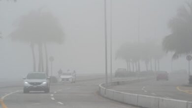 Neblina Veracruz-Boca del Río reduce visibilidad y afecta vuelos (Foto de Manuel Macías)