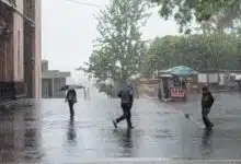 Clima en Veracruz: lluvias puntuales por vaguada este martes (Foto de internet)