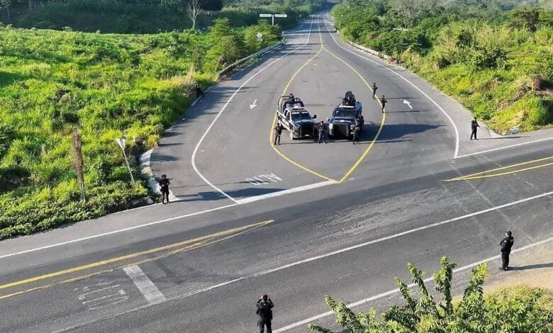 Operativo conjunto Puebla Veracruz será permanente (Foto de internet)