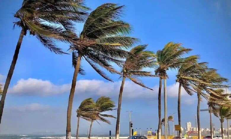 Evento de Norte en Veracruz provoca fuertes vientos y lluvias (Foto de internet)