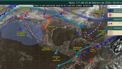 Eduardo Ramírez presenta programa de reforestación y obras viales en Chiapas (2)