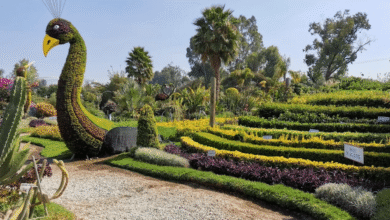 Jardín Mágico de Atlixco, un paraíso floral en el corazón de Puebla