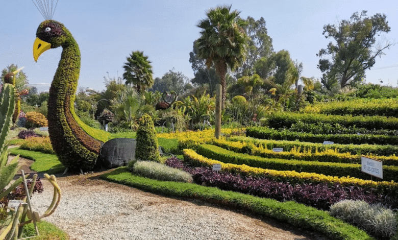 Jardín Mágico de Atlixco, un paraíso floral en el corazón de Puebla