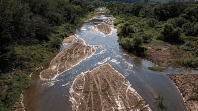Semarnat arranca muestreo de metales en el Río Sonora por derrame de 2014
