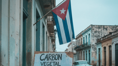 La escasez de combustible y los constantes cortes de electricidad en Cuba han llevado a miles de ciudadanos a buscar soluciones de emergencia para cocinar y transportarse, desde carbón vegetal hasta motocicletas eléctricas y sistemas solares domésticos.