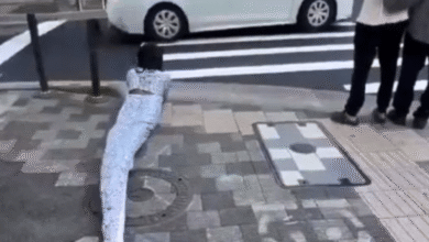 Therian serpiente causa polémica en Japón