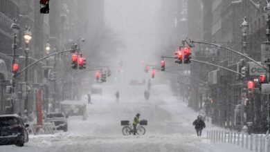 Toque de queda y emergencia climática en Nueva York por intensa nevada. Imagen: Redes sociales.