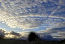 Clima en Veracruz: frentes fríos seden, aumenta la temperatura (Foto de internet)