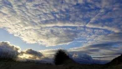 Clima en Veracruz: frentes fríos seden, aumenta la temperatura (Foto de internet)