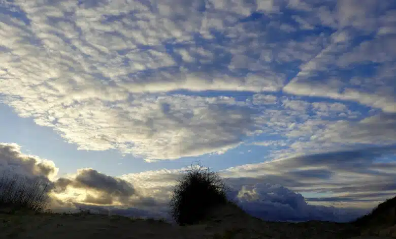 Clima en Veracruz: frentes fríos seden, aumenta la temperatura (Foto de internet)