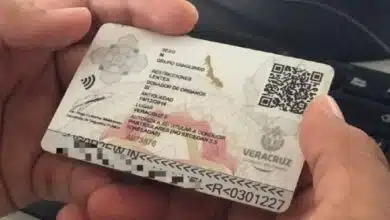 Licencia de conducir en Veracruz sube de precio en 2026 (Foto de internet)