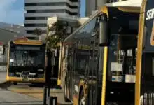 Camiones Ulúa gratis en Carnaval de Veracruz 2026 (Foto de internet)