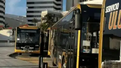 Camiones Ulúa gratis en Carnaval de Veracruz 2026 (Foto de internet)