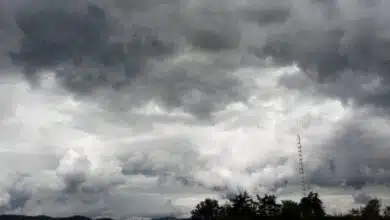 Frente frío 34 llega a Veracruz, estos serán sus efectos (Foto de internet)