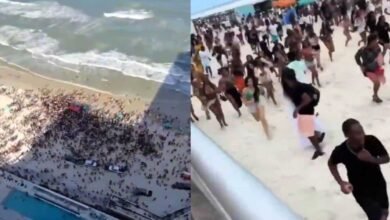 Estampida masiva en playa de Florida