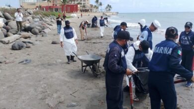 Grupo Interinstitucional despliega más de 2 mil 400 elementos coordinados para atender la presencia de hidrocarburos en costas de Veracruz y Tabasco