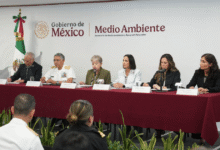 Un buque y dos chapopoteras naturales, la causa de la emanación de hidrocarburos en Veracruz y Tabasco GI