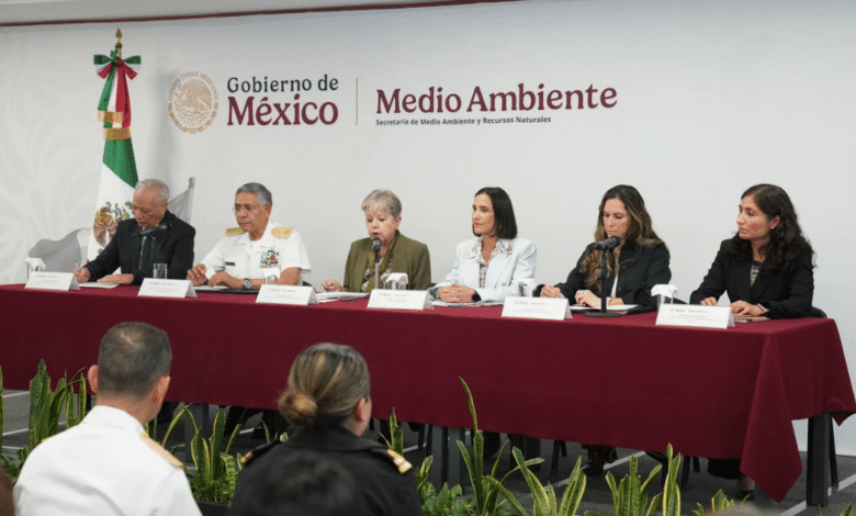 Derrame de petróleo no afectó playas, flora ni fauna
