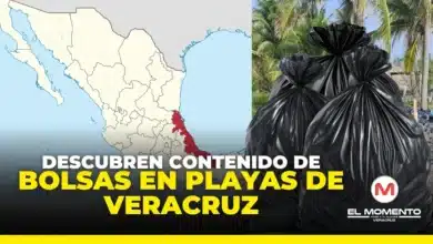 descubren contenido de bolsas en playas de veracruz