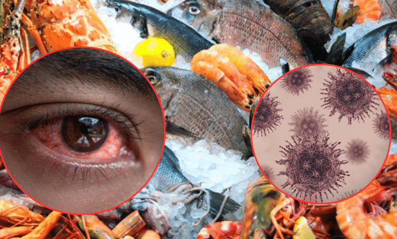 ¿Qué es el virus que está poniendo en riesgo a animales en China? Nodavirus (Fotos de internet)