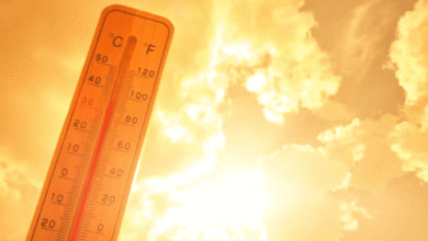 Clima hoy: Onda de calor será más intensa en estos estados de México (Imagen de internet)