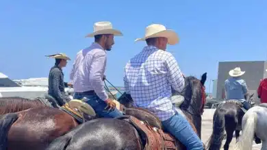 Éxito total en el congreso nacional del caballo veracruz 2026
