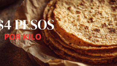 Precio de la tortilla podría subir hasta 4 pesos por kilo en abril por alza en insumos