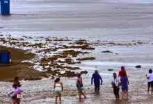 protección civil de veracruz emite aviso de vigilancia por transición a fenómeno de el niño