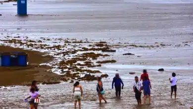 protección civil de veracruz emite aviso de vigilancia por transición a fenómeno de el niño