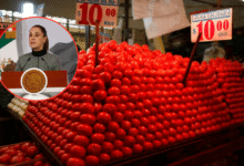 Sheinbaum refuerza el PACIC bajará el precio del jitomate y se mantiene la canasta básica en 910 pesos