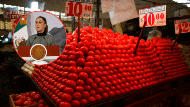 Sheinbaum refuerza el PACIC bajará el precio del jitomate y se mantiene la canasta básica en 910 pesos