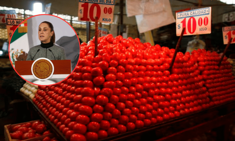 Sheinbaum refuerza el PACIC bajará el precio del jitomate y se mantiene la canasta básica en 910 pesos