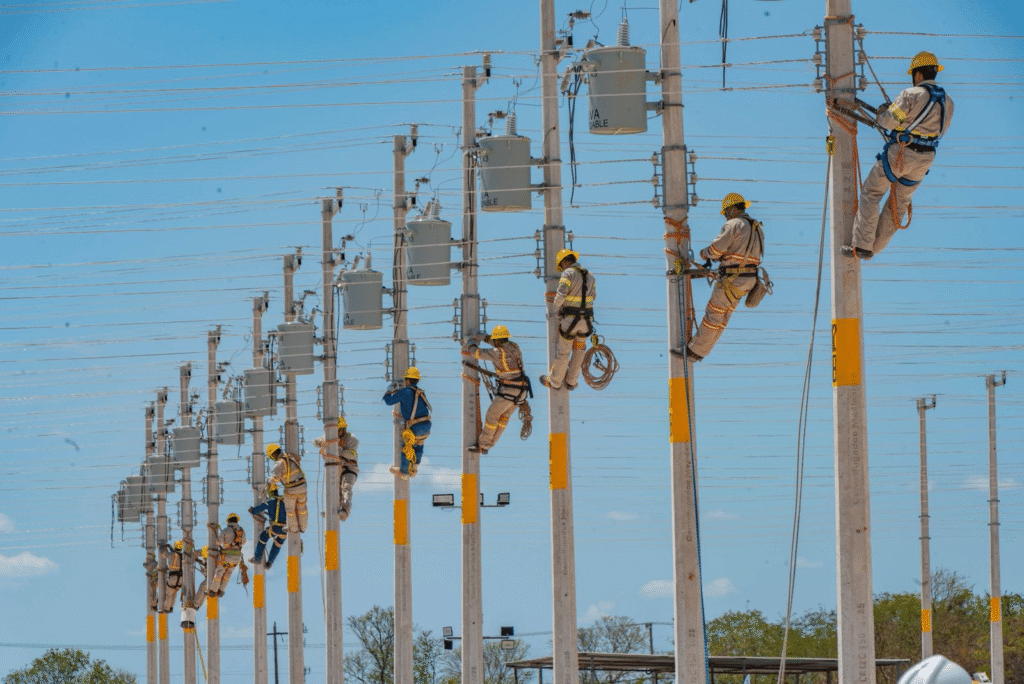 CFE,Torneo Nacional de campo