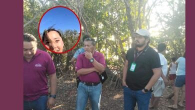 ¿De cuánto es la multa por asustar a flamencos en Yucatán Esto podría pagar Elisa La Yuca
