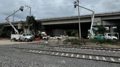 Trabajos de la CFE para el Tren Felipe Ángeles (Foto de cortesía)