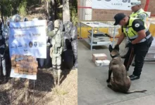 Gabinete de Seguridad del Gobierno de México informa acciones relevantes del 22, 23 y 24 de mayo de 2026 (Foto de cortesía)