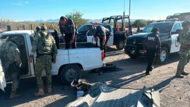 gabinete de seguridad reporta detenciones y aseguramientos en 11 estados del país