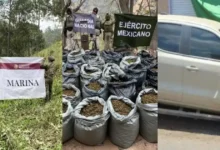 operativos del gabinete de seguridad dejan detenidos, armas y droga asegurada en siete estados